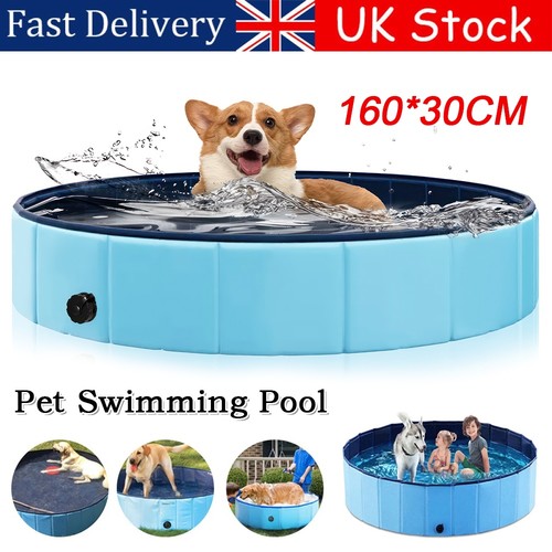 Large dog swimming pool - swimming, pet