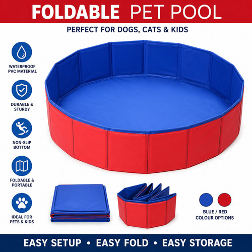 Pet bath dog - dog, swimming