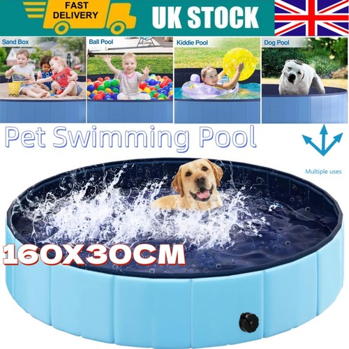 Dog pet swimming paddling - dog,
