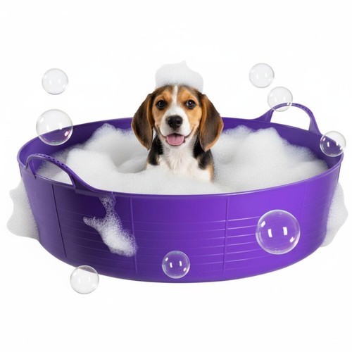 Purple dog bath - purple, bath,