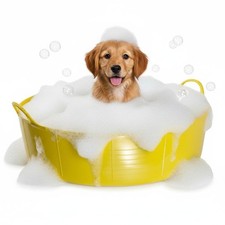 YELLOW DOG BATH, DOG PADDLING
