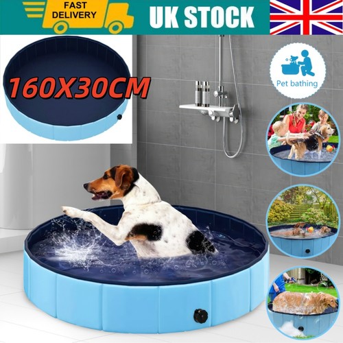 Large pet dog bathtub puppy - dog,