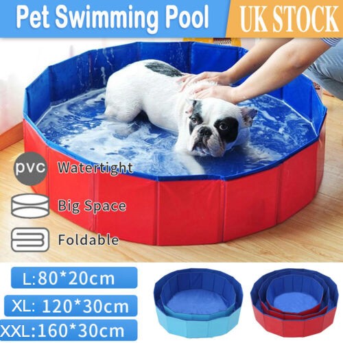 Large pet bath - large, dog