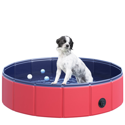Dog swimming pool - dog, pet