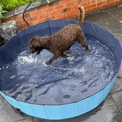 Dog paddling pool 160cm - x, 30cm