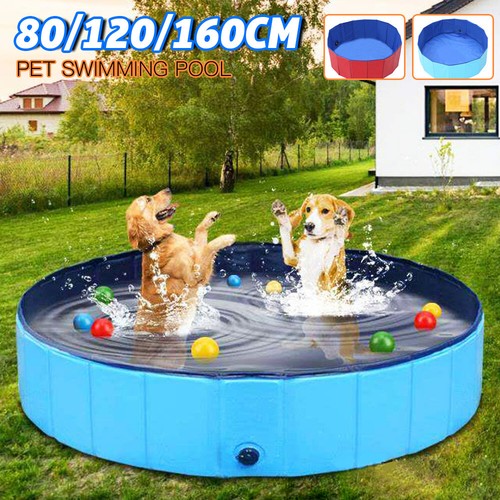 Large dog swimming - dog,