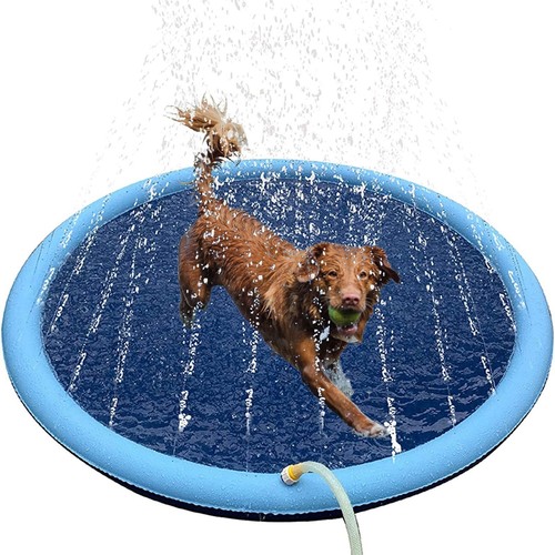 Pet dogs paddling pool 170 - paddling,